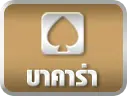 ปุ่มบาคาร่า